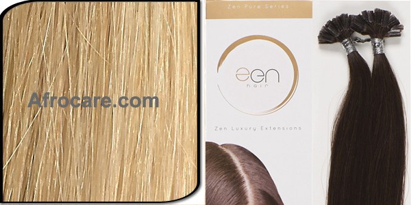 Zen Pure U-Tip Hair Extensions 18 inch Colour P16-22
