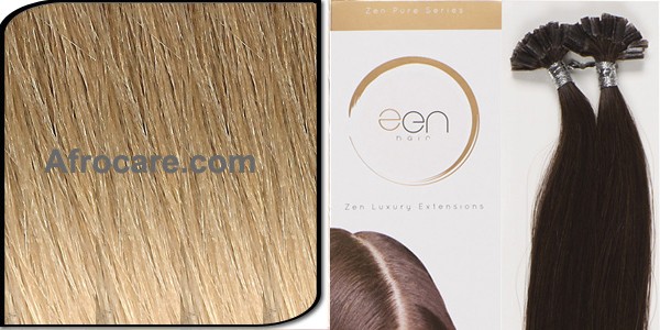 Zen Pure U-Tip Hair Extensions 18 inch Colour T18-22