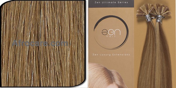 Zen Ultimate U-Tip Hair Extensions 14 inch Colour #10