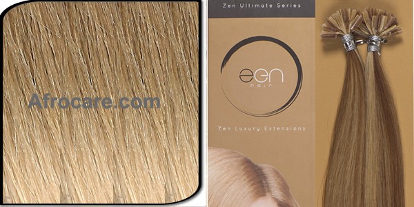 Zen Ultimate U-Tip Hair Extensions 18 inch Colour T18-22