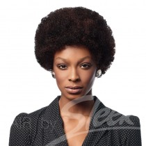 Afro 100% Human Hair Wig